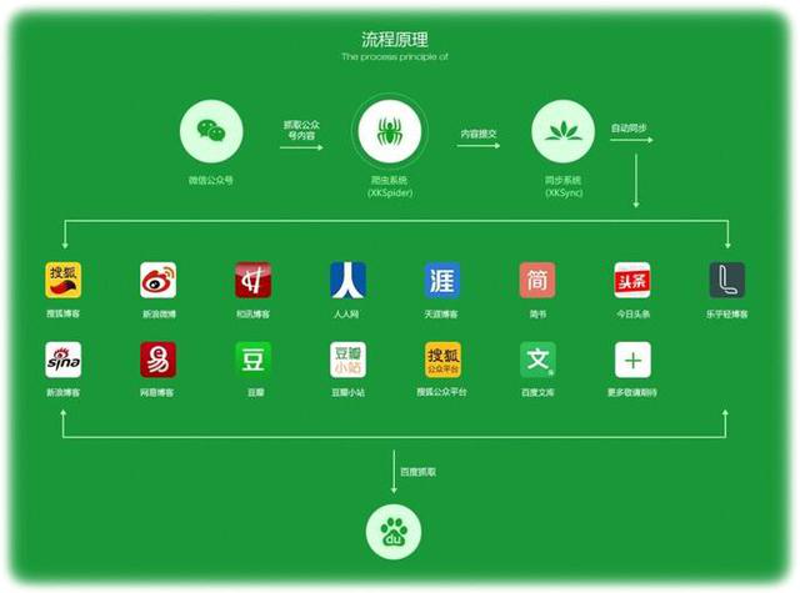 广告投放:新手指南